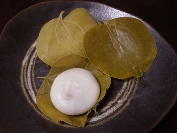西日本では、本種の葉を使って、餅や団子を包む。「かしわ餅」の一形態であって、「カシワの代用」ではない。岡山県周辺では「しば（柴）餅」とも呼ばれる。