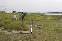 21日：吉井川 絶滅危惧植物 保護地 視察
