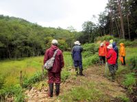 16日：岡山県自然保護センター 湿原保全作業