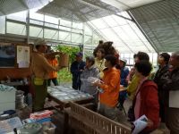 29日：植物園を楽しむ会67（織りなす草錦を楽しむ）ヒメガマを使ったガマ細工について説明中