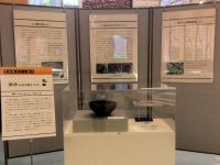 20日：東京都 北区飛鳥山博物館 ミニ展示「凹みが語る縄文文化」にツルマメとダイズの比較写真を提供