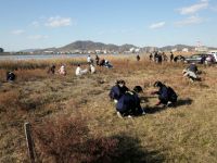 ハマウツボ保護地の除草をする高校生たち