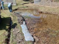 22日：湿地エリア 下池岸 補修作業（岸の幅が狭くなっている箇所を土のうで補修したのち、泥で覆うことで、土のう上への植物の定着を促します。）