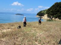 兵庫県立淡路景観園芸学校の学生さんの調査への協力と海岸植物の調査を行いました
