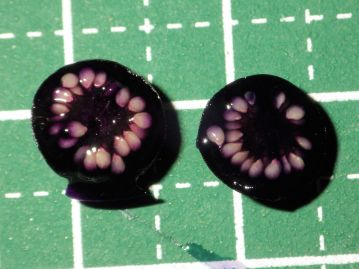 果実内部には多数の種子が詰まっている。 種子数はかなり幅があるようで、多いものでは100粒を超える。