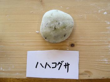 ハハコグサの葉を搗きこんだ「ほうこ餅」。古い時代のもち米は粘りが少なく、つなぎとして毛のある様々な植物が用いられた。