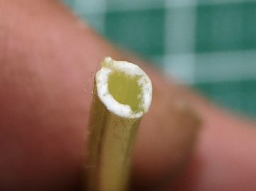 茎は中空で草笛などにして遊ぶ。茎や葉を切断すると白い乳汁がでてくることが、タンポポ属の共通した特徴（乳汁自体はキク科の他の植物でも見られる）。