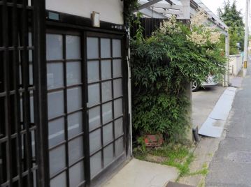 「難を転ずる」との語呂合わせから、家屋周辺に植栽される。 写真は倉敷市内で玄関脇のわずかな隙間に植栽されていた本種。