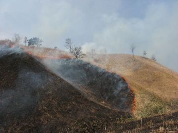 真庭市蒜山地域で現在でも行われている「山焼き（火入れ）」。良質な「カヤ」を得るための作業でもあった。