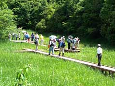 重井薬用植物園