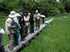 重井薬用植物園