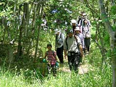 重井薬用植物園