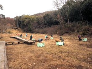園内の湿地の管理作業（刈草の搬出：冬期）