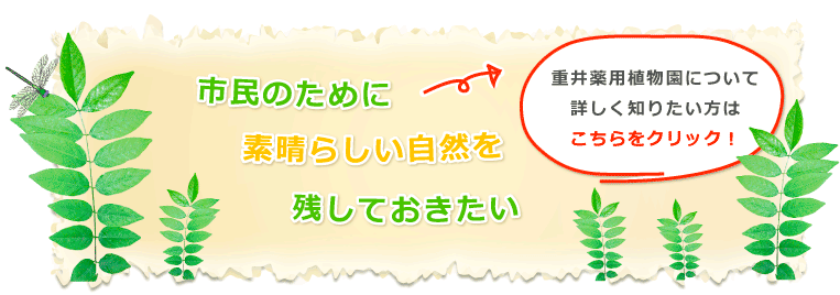 市民のために素晴らしい自然を残しておきたい　重井薬用植物園について詳しく知りたい方はこちらをクリック