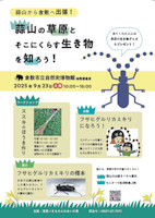 20250914ミズアオイ自生地保全活動