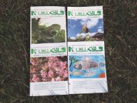 しぜんしくらしき132号表紙募集