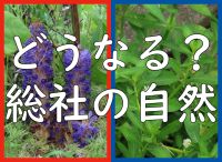 総社市自然保護講演会「どうなる？総社の自然」