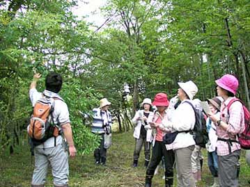 瀬戸内山野草会の皆さん