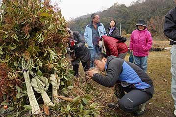 火口に火が付いたら、よく乾いた枯れ草に火口をくるんで、そっと息を吹きかけて、炎をおこします。