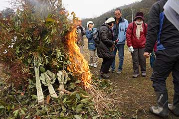 見事、点火成功！パチパチと音を立てて燃え上がりました。点火後は、どんど焼きを囲んで、伝統的な祭事に使われる植物について、簡単に解説をしました。神事に使われる「サカキ」は、温暖な地域に多い植物で、中国山地など寒冷な地域には分布しないので、モチノキ科のソヨゴなどを使います。