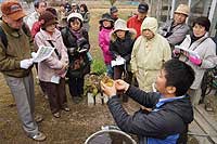 13日：「植物園を楽しむ会」植物の根の観察