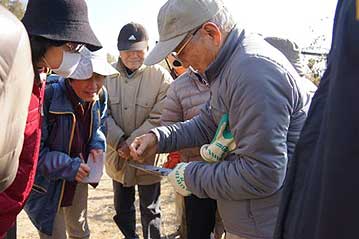 岡本館長が近くの木の根元の土の中にいた生物を見つけてきてくれました。なにせ小さな生き物ばかりなので、自然とみなさん集まってきます。