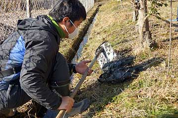 観察会中に溝掃除を始めた…わけではなく、排水溝にたまっている泥や落ち葉の中で冬越しをしている水生生物を探しています。