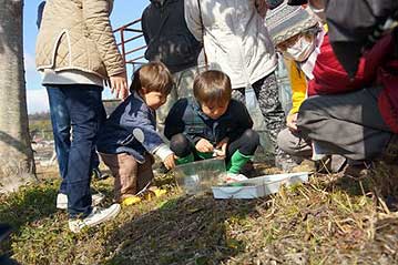 見つけた生き物は、見やすいように容器の中に入れていきます。子供たちも興味津々。