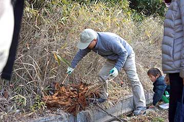 岡本館長が道のわきの倒木を砕いて、中に隠れている昆虫などの幼虫を探していますが、場所が日当たりが良すぎて、なにもみつからなかったようです。