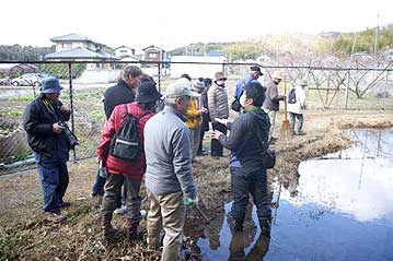 湿地エリアの入り口にある池の中に、カスミサンショウウオの卵塊がありました。少し場所が浅くて、凍って死んだ卵もありましたが、生きているものも確認できました。