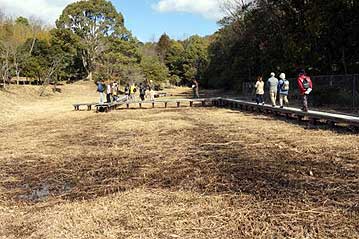 草刈りをして、刈った草を取り除いたため、何も無くなった湿地の木道を歩きます。来月下旬には植物が芽吹いてくるはずですが…。