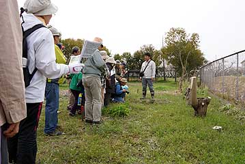 ちょっと奥に移動して、植物園の新顔を紹介。まだ小さいですが、足元に…。