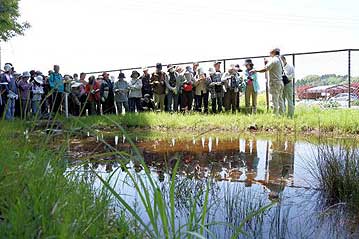 湿地エリアに移動して、入り口の池のふちで吉備の名のついた、キビノミノボロスゲの解説中。