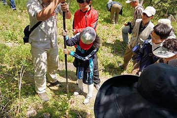 園長が手伝いながら、参加者の子供さんがタケノコ掘りに挑戦。先に刃のついた鉄の棒で、タケノコが地下茎とつながっている部分を切断すると楽に掘れます。