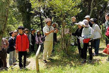 地下茎がちゃんとついたものが掘れたので、ちょっとお借りして、タケノコの発生の仕方などについて解説。