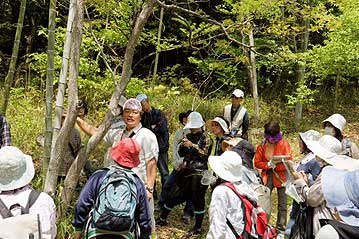 園長からはモウソウチクとマダケ、ハチクの見分け方や、タケの生態などについて解説を行いました。