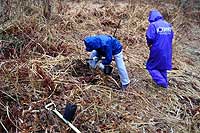 6日：新庄村オオウラジロノキ苗木 寄贈・植栽