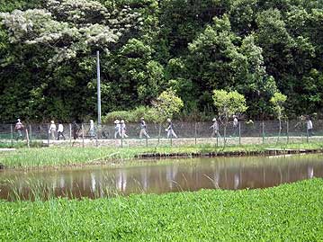 一旦外に出て，温室エリアから湿地エリアに移動します。