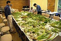 19日：岡山県自然保護センター 植物基礎講座－応用編－