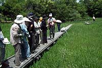 26日：植物園を楽しむ会（朱鷺と鶴～花のかたちを楽しむ）