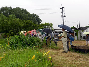 こんもりと枝を伸ばしているのは，園芸種のミヤギノハギ。ちょっと変わった種類で，初夏と秋の2回，花が咲きます。