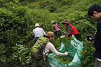 23日：サクラソウ自生地 草刈り保全活動