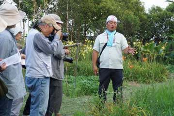 本日のお題の植物，マルバコウツギの観察中。普通のウツギ（卯の花）よりも花も明るいうちに，本日のメイン，ユウスゲと同じ仲間（ヘメロカリス／ワスレグサ属）の植物の観察をしました。