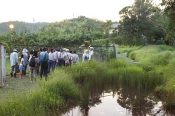 湿地エリアに隣接した地元のモモ園に設置されている照明について解説中。岡山ではよく見かける照明ですが，昆虫を寄せ付けにくい波長の光なのだそうです。