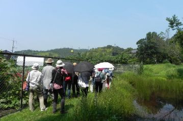 湿地エリアに移動。園内ではなく，フェンスの外側に注目しています。さて，何があるのでしょうか。