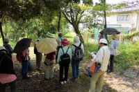 11日：植物園を楽しむ会（ヒオウギとミソハギの花を楽しむ）