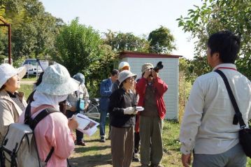 今回は秋の花と「果実」の不思議がテーマですので，植物の実に注目して観察しました。早速，温室の南で実をつけている樹木を発見。