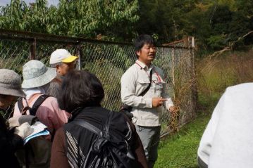 湿地エリアに移動。帰化植物のメリケンカルカヤが生えていたのを発見して，駆除ついでに解説中。湿地内部にまで侵入して増えるので，早期駆除が重要です。