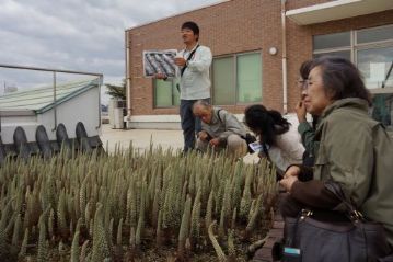 26日はやや薄曇りで，風もあって肌寒い日でしたが，古屋野 名誉園長を含めて9名ほどの方が参加されました。古屋野名誉園長もびっくりの群生です。