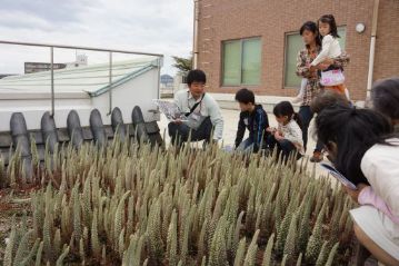 子供たちも間近に見るツメレンゲの不思議な姿に興味津々だったようです。
